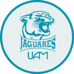 Jaguares