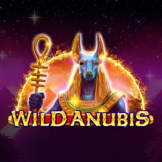 Wild Anubis